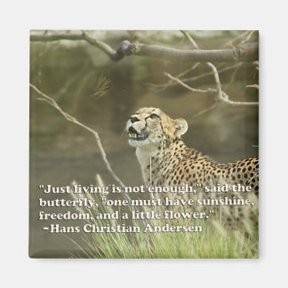 AIMANT CHEETAH ET BUTTERFLY