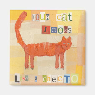 Aimant Cheeto Cat