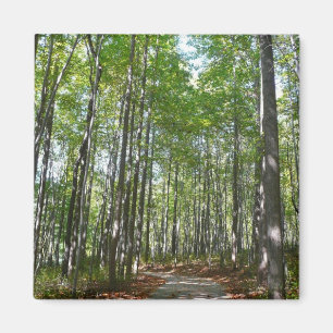 Aimant Chemin en bois centenaire II Ellicott City Marylan