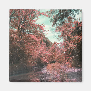 Aimant Chemin Pittoresque