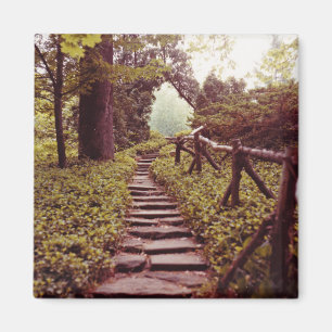 Aimant Chemin vers la lumière
