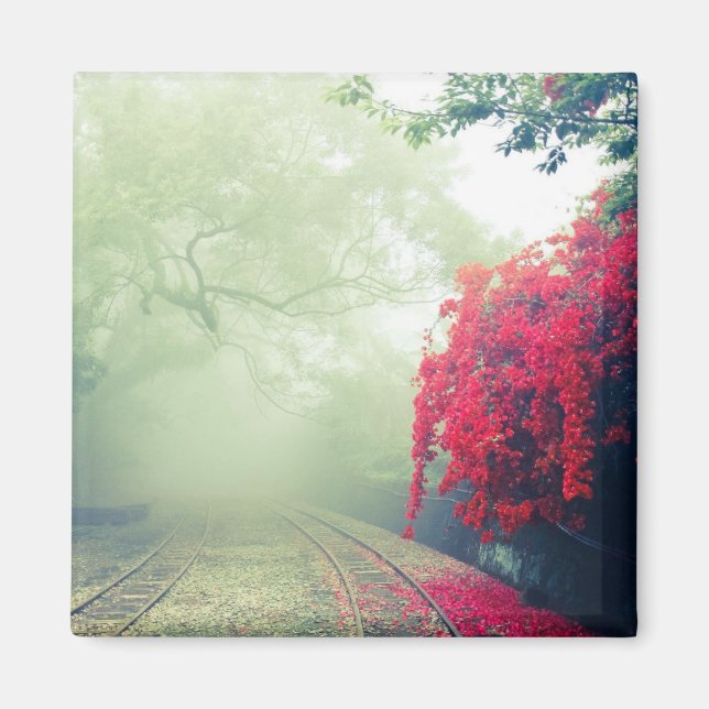 Aimant Chemins de fer Misty Photo Pittoresque (Devant)