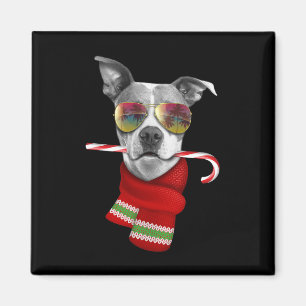 Aimant Chemise Noël en Juillet Pitbull Célibataires Amour