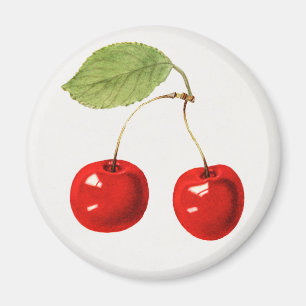 Aimant Cherry