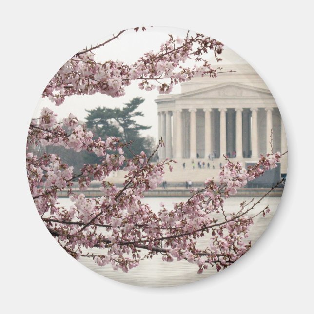 Aimant Cherry Blossom Washington DC (Devant)