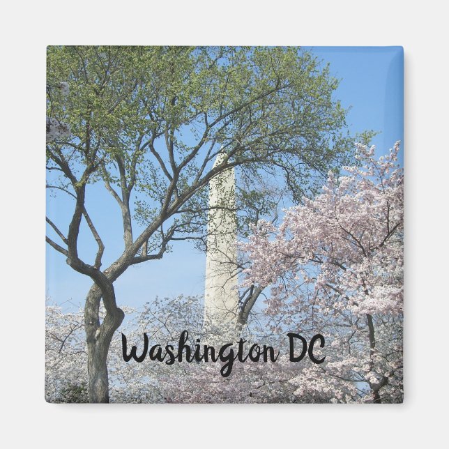 Aimant Cherry Blossoms et le monument de Washington à DC (Devant)