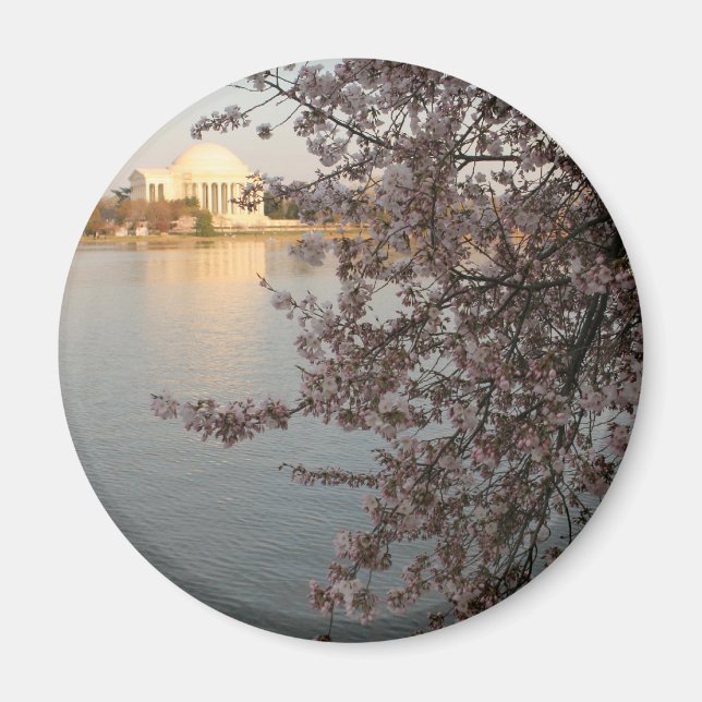 Aimant Cherry Blossoms Washington DC (Devant)