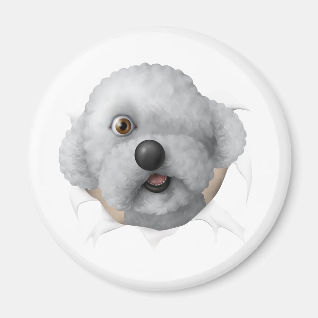 Aimant chestburster salomon (Devant)