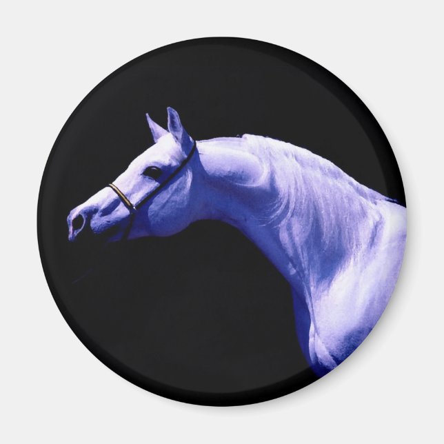 Aimant Cheval (Devant)