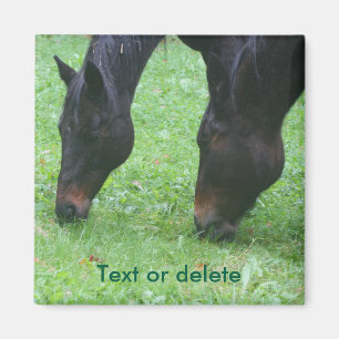 Aimant Cheval Amis Pâturage Animal Personnalisé
