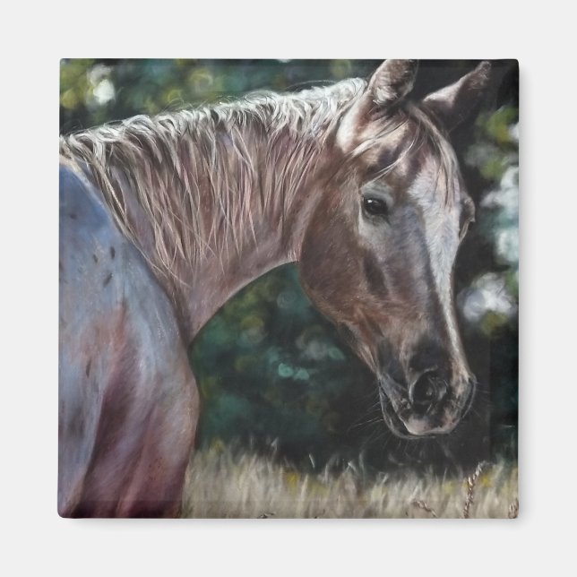 Aimant Cheval Appaloosa dans un champ (Devant)
