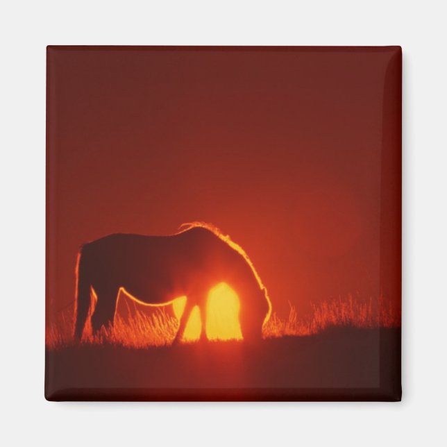 Aimant Cheval au coucher du soleil rouge (Devant)
