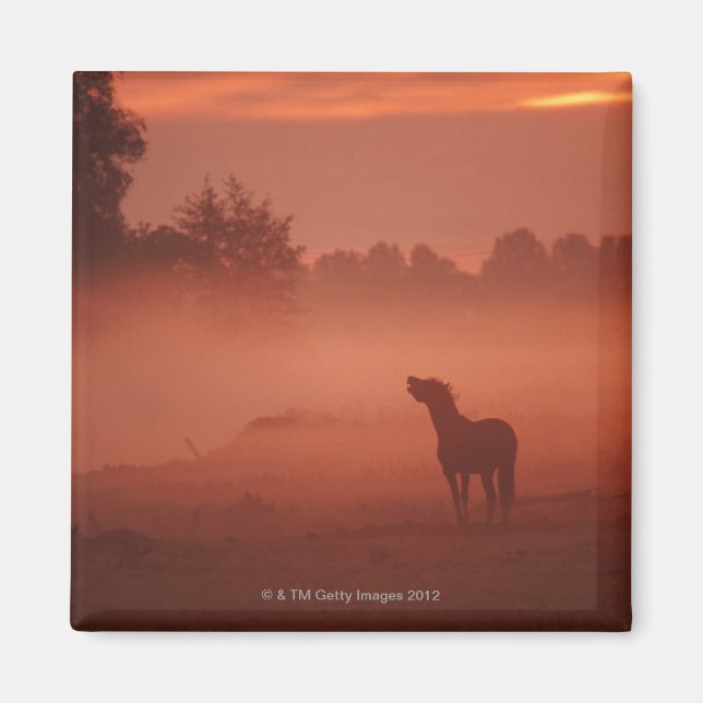 Aimant Cheval au lever du soleil (Devant)