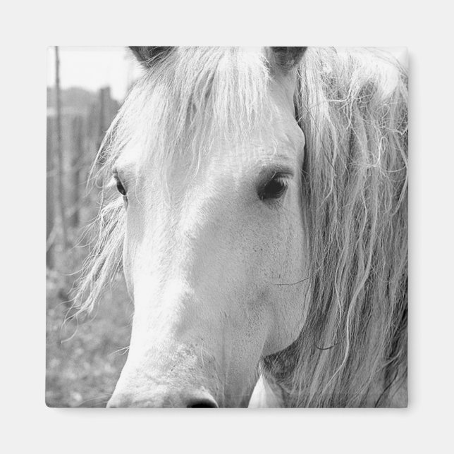 Aimant Cheval avec Herbe (Devant)