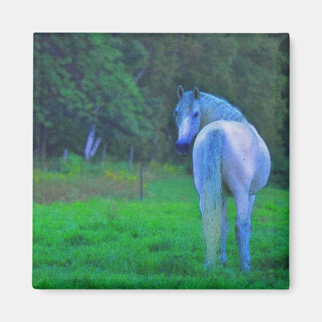 Aimant Cheval blanc en Lune Cadeau d'Art Magnétique (Devant)