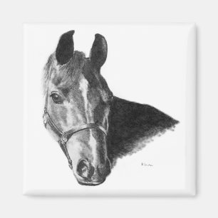 Aimant Cheval de Graphite