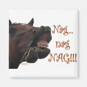 Aimant Cheval drôle : Canasson, canasson, canasson