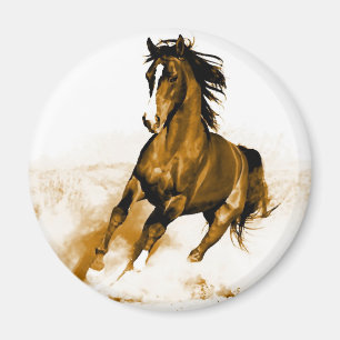 Aimant Cheval en course