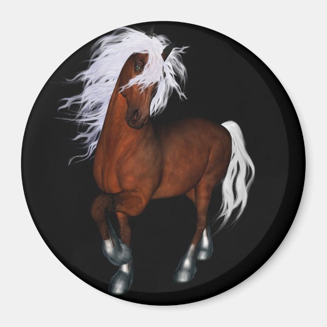 Aimant cheval Extraordinaire (Devant)
