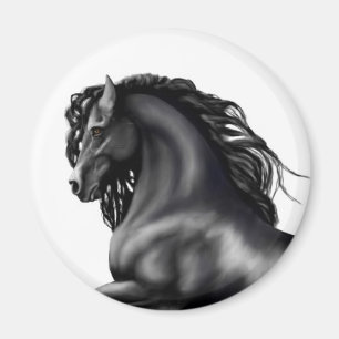 Aimant Cheval frison d'étalon
