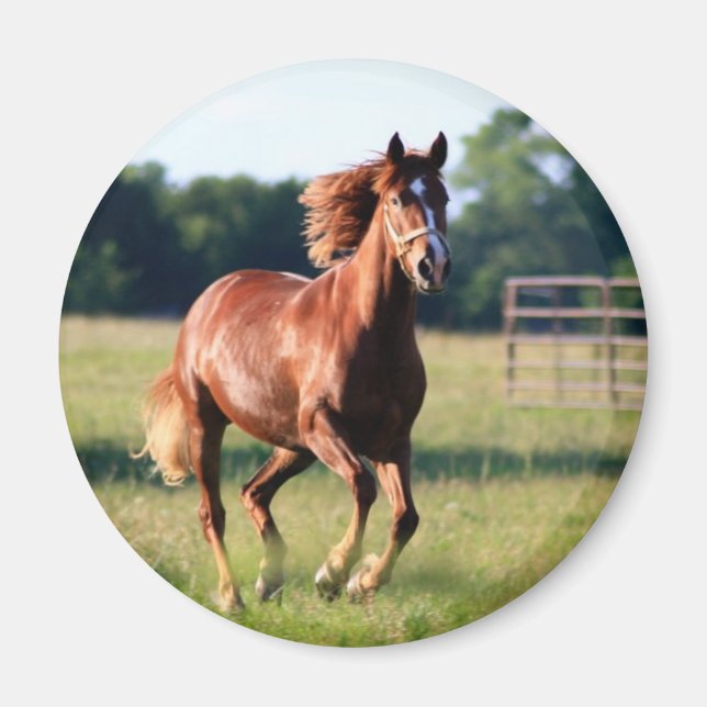 Aimant Cheval galopant (Devant)