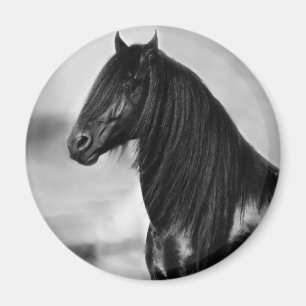 Aimant Cheval noir frison fier d'étalon