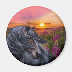 Aimant Cheval noir sauvage