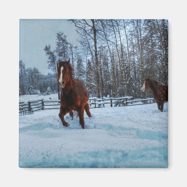 Aimant Cheval Sorrel Spirité en Neige pour les amateurs d (Devant)