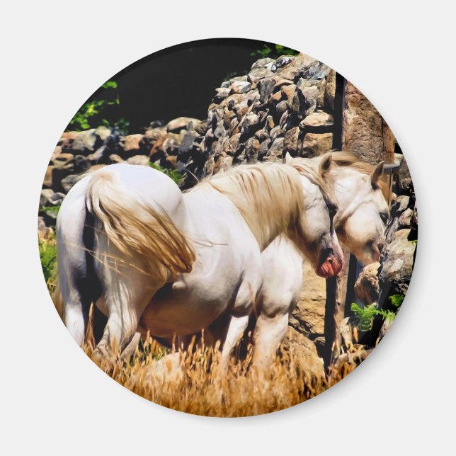 AIMANT CHEVAUX (Devant)