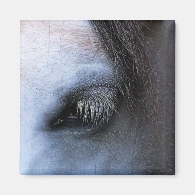 AIMANT CHEVAUX (Devant)