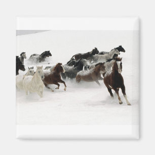 Aimant Chevaux dans la neige
