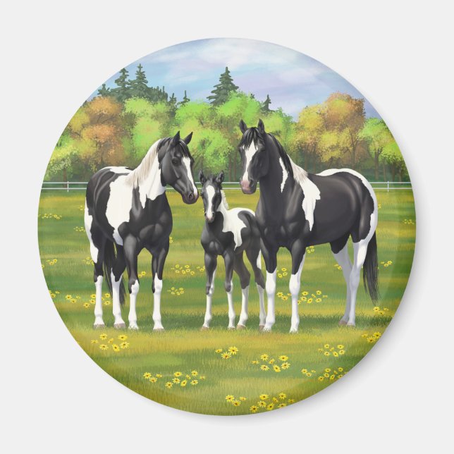 Aimant Chevaux De Peinture De Pinto Noir Dans Les Pâturag (Devant)