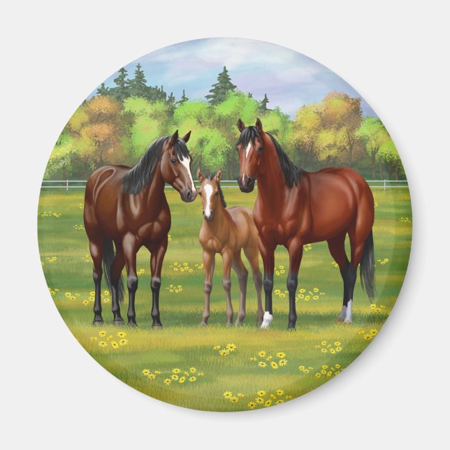 Aimant Chevaux Du Quartier De La Baie Brown Dans Les Pâtu (Devant)