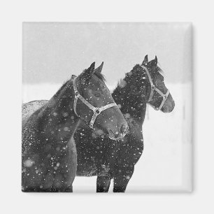 Aimant Chevaux en chute de neige