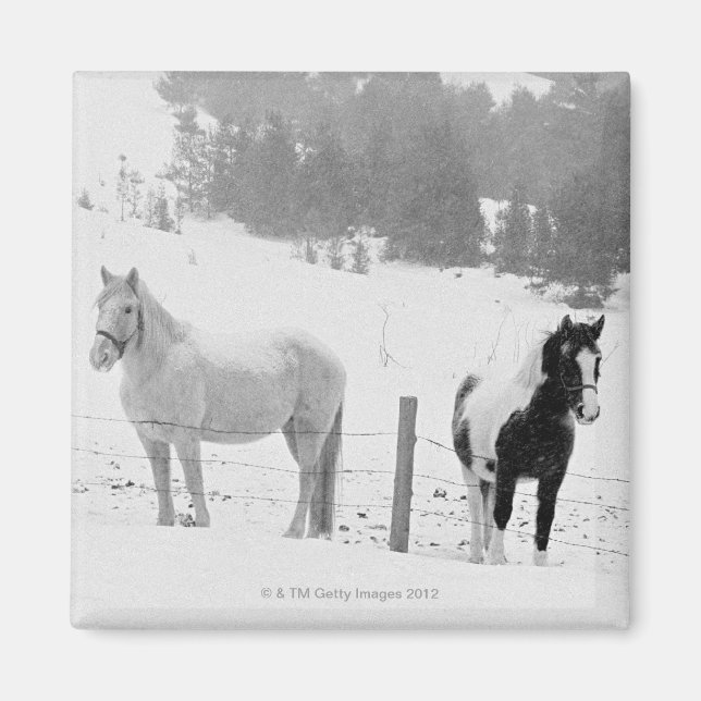 Aimant Chevaux en ranch (Devant)