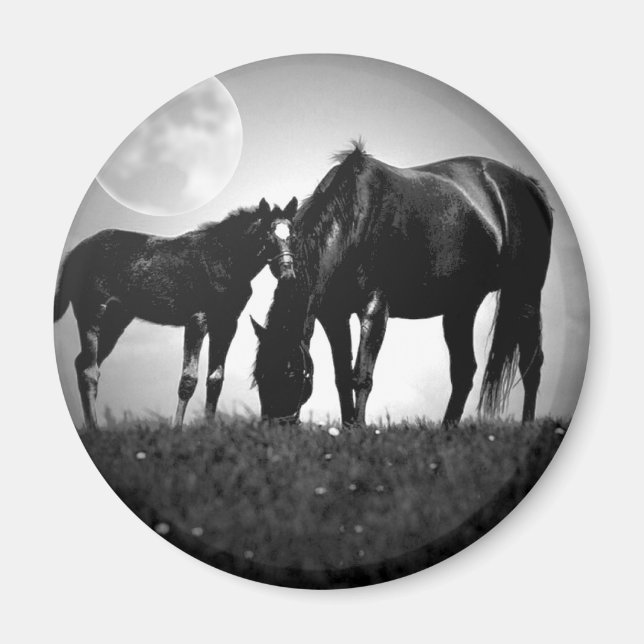 Aimant Chevaux et lune (Devant)