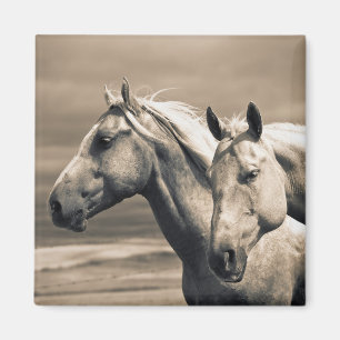 Aimant Chevaux Quarter Horse dans la prairie canadienne