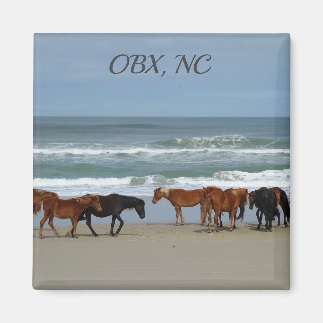 Aimant Chevaux sauvages OBX NC (Devant)