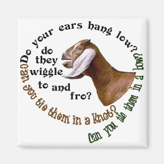 AIMANT CHÈVRE NUBIENNE - FAIBLE QUE VOS OREILLES AIENT ?