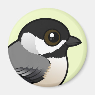 Aimant Chickadee de Caroline