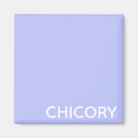 Chicorée Nom de couleur bleu Fleur
