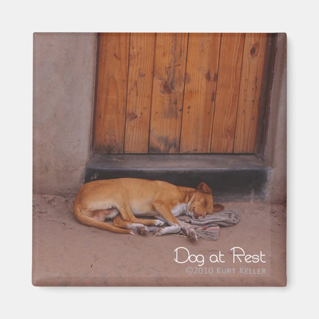 Aimant Chien au repos (Devant)