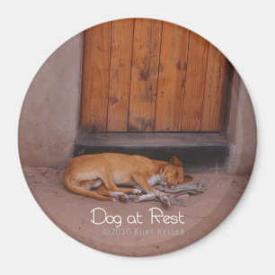 Aimant Chien au repos