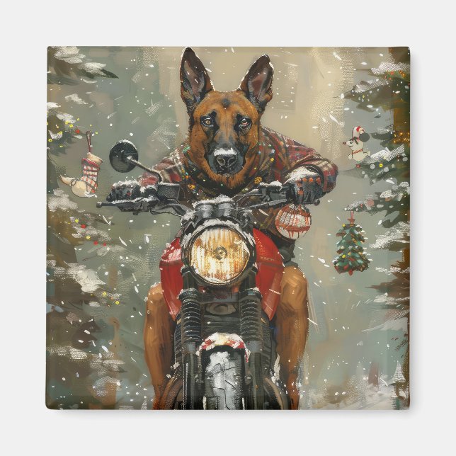 Aimant Chien belge Malinoi équitation moto Noël (Devant)
