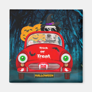 Aimant Chien Dalmatien conduisant voiture effrayant Hallo