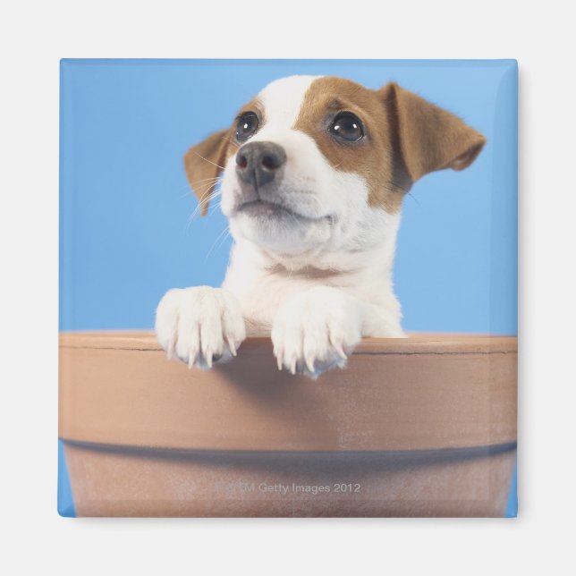Aimant Chien dans le pot de fleurs (Devant)