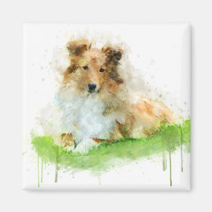Aimant Chien de berger de Shetland/sheltie