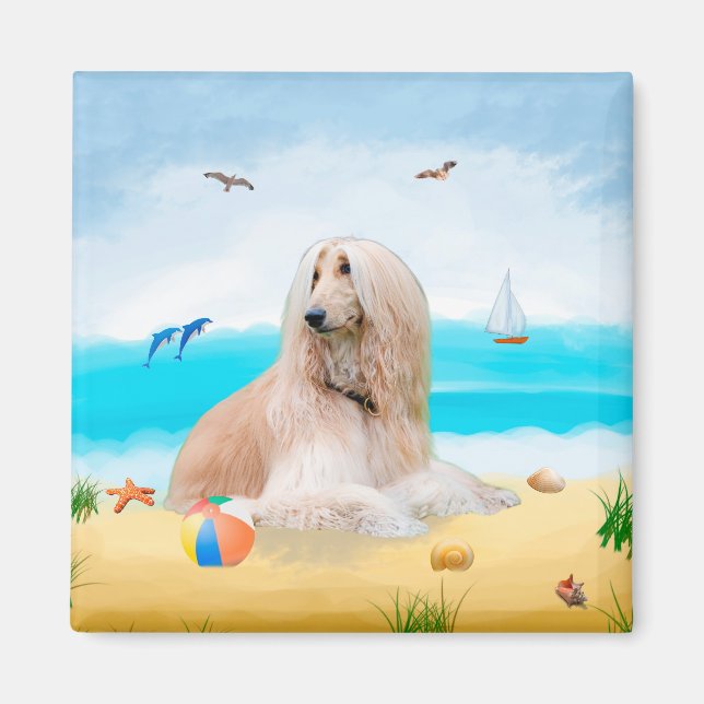 Aimant Chien de chien afghan sur la plage (Devant)