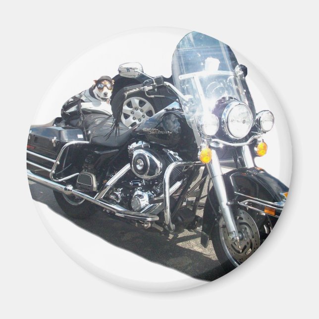 Aimant Chien De Cochon De Moto Né Pour Ride Russell Terri (Devant)