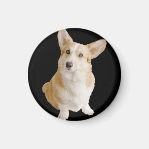 Aimant Chien de Corgi gallois